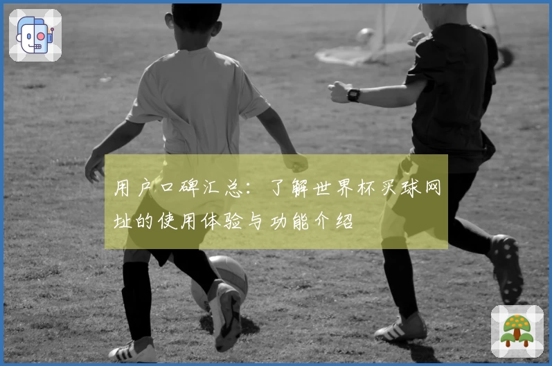 用户口碑汇总：了解世界杯买球网址的使用体验与功能介绍