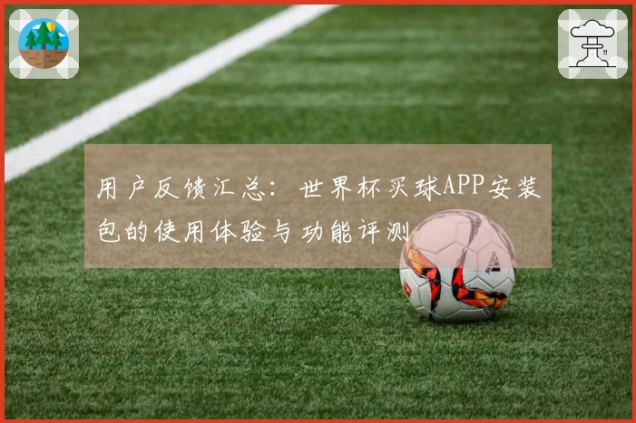 用户反馈汇总：世界杯买球APP安装包的使用体验与功能评测