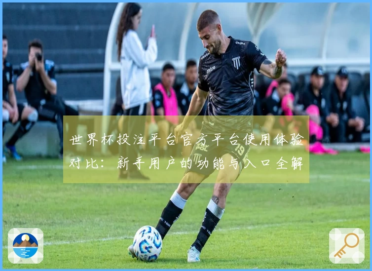 世界杯投注平台官方平台使用体验对比：新手用户的功能与入口全解析