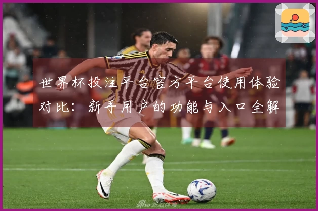 世界杯投注平台官方平台使用体验对比：新手用户的功能与入口全解析