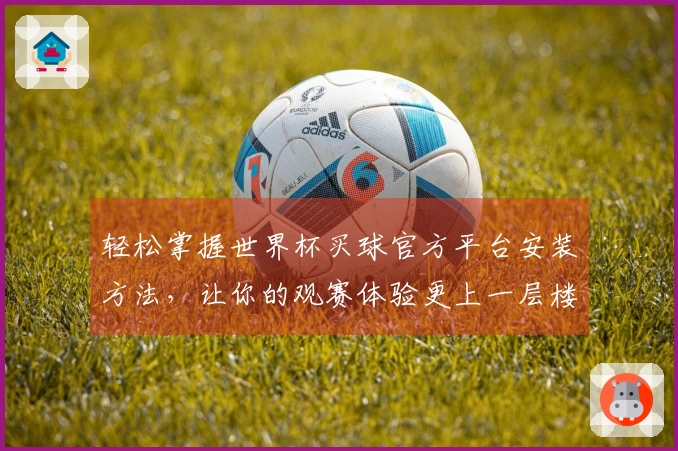 轻松掌握世界杯买球官方平台安装方法，让你的观赛体验更上一层楼