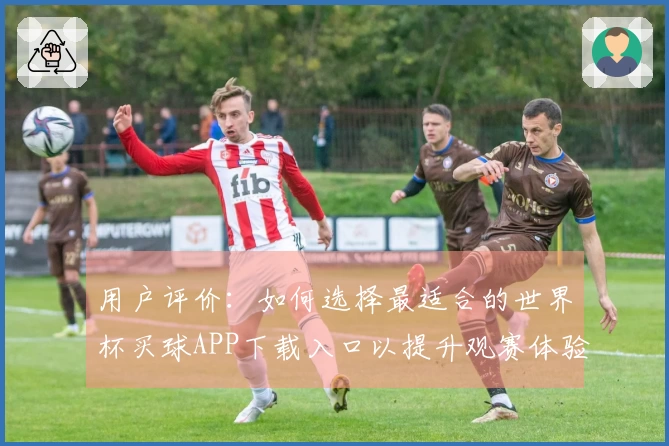 用户评价：如何选择最适合的世界杯买球APP下载入口以提升观赛体验