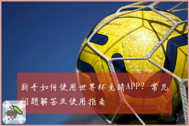 新手如何使用世界杯竞猜APP？常见问题解答及使用指南