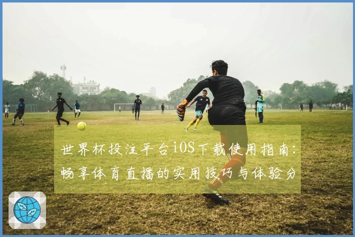 世界杯投注平台iOS下载使用指南：畅享体育直播的实用技巧与体验分享