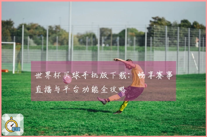 世界杯买球手机版下载：畅享赛事直播与平台功能全攻略