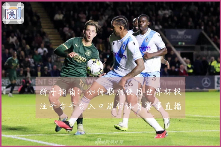 新手指南：如何顺利使用世界杯投注平台平台入口进行体育赛事直播