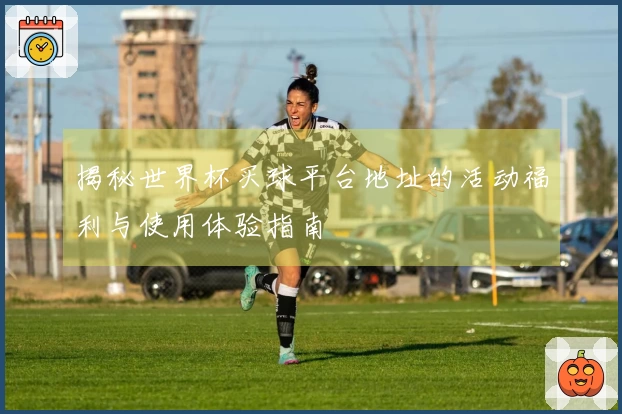 揭秘世界杯买球平台地址的活动福利与使用体验指南
