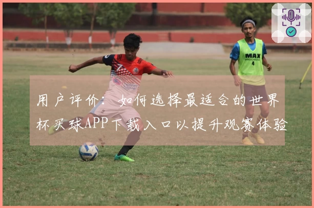 用户评价：如何选择最适合的世界杯买球APP下载入口以提升观赛体验