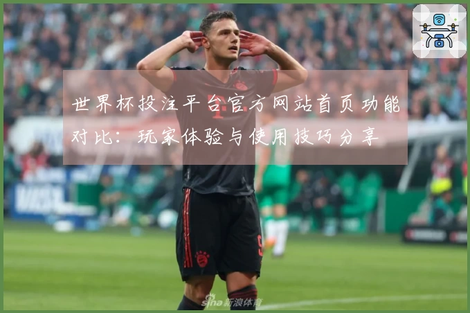 世界杯投注平台官方网站首页功能对比：玩家体验与使用技巧分享