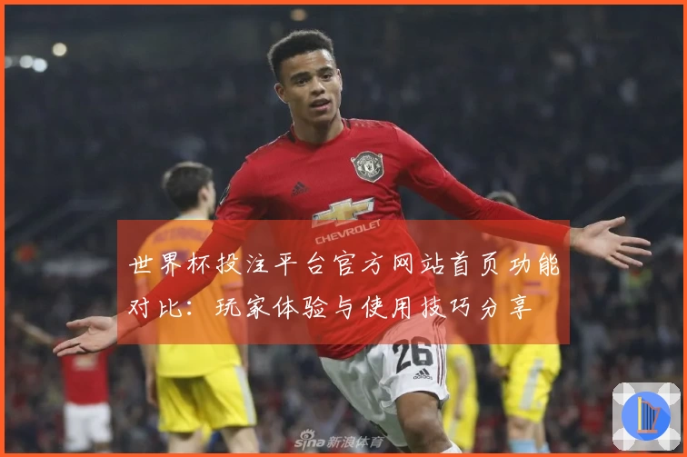 世界杯投注平台官方网站首页功能对比：玩家体验与使用技巧分享